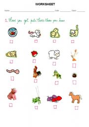 English Worksheet: pets