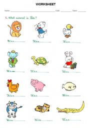 English Worksheet: animals