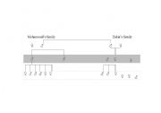English Worksheet: Family Tree