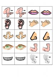 English Worksheet: Body parts pairs cards/flashcards