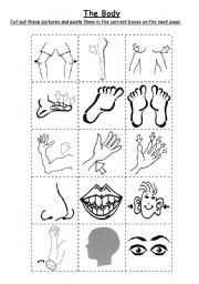 English Worksheet: The Body - Cut & Paste Worksheet