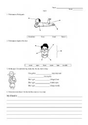 English Worksheet: body parts test