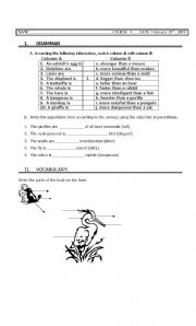 English Worksheet: test: comparative and superlative