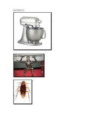 English Worksheet: Guess what it is (look like)- answers