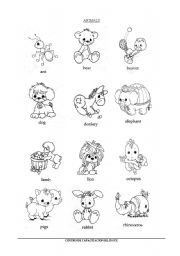 English Worksheet: ANIMALS