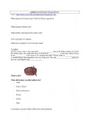 English Worksheet: American Indians