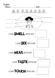 English Worksheet: MY SENSES