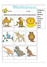 English Worksheet: ZOO ANIMALS