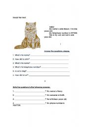 English Worksheet: Lori, my cat