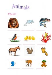 English worksheet: Animals