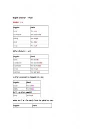 English Worksheet: plural