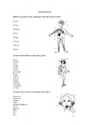 English Worksheet: Body Parts