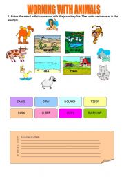 English Worksheet: WORKING WITH ANIMALS