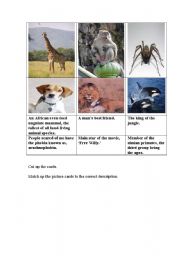 Animal descriptions