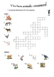 animals crossword