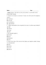 English Worksheet: Digestive System quiz