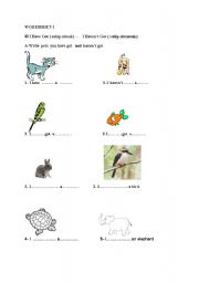 English Worksheet: possessives