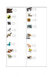 English Worksheet: animals and transportation