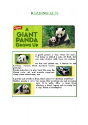 English Worksheet: A GIANT PANDA 