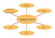 English worksheet: Appearance Spider Handout