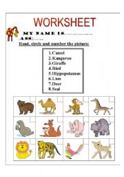 English Worksheet: zoo animals