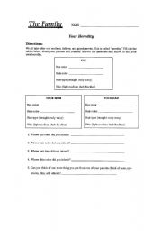 English worksheet: The family