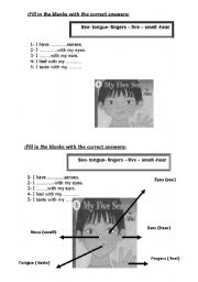 English Worksheet: five senses