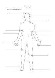 English Worksheet: Label the Body Parts