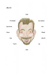 English Worksheet: Face