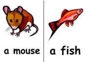 English worksheet: animals for flashcards
