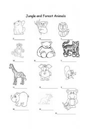 English Worksheet: Jungle and Forest Animals