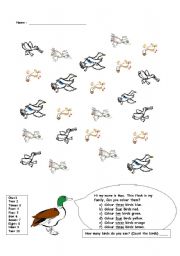 English worksheet: Colour the Ducks