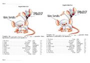 Mini test comparative Pinky and the Brain