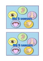 English Worksheet: five senses