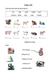 English Worksheet: FARM LIFE