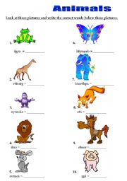 English worksheet: animal