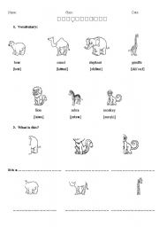 English worksheet: Wild animals