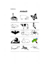 English worksheet: Animals