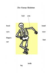 English Worksheet: The  Funny Skeleton