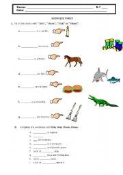 English Worksheet: Determiners