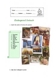 English Worksheet: Endangered Animals