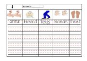 English worksheet: body