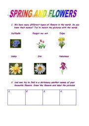 English Worksheet: spring and names of the flowers