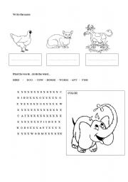 English worksheet: animal