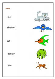 English worksheet: match the word with the picture