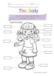 English Worksheet: The body