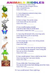 English Worksheet: Animal riddles