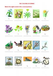 English Worksheet: The Colours of Spring (p. 1)