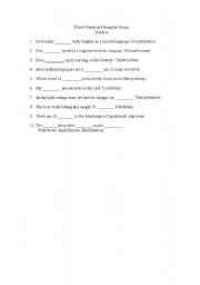 English worksheet: Plural of Irregular nouns