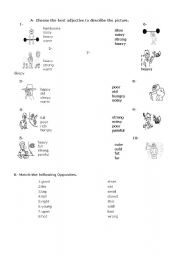 English worksheet: Adjectives